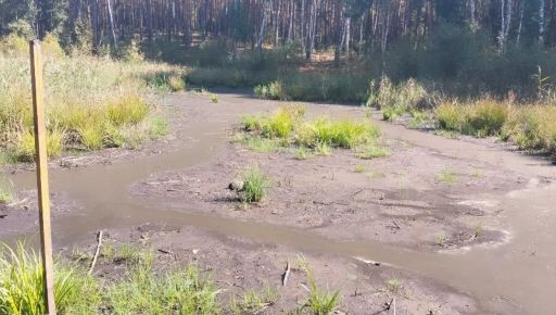 На Харківщині зафіксовано рекордно раннє пересихання боліт: що це значить