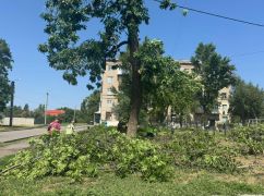 Мерія показала наслідки негоди, яка повалила дерева в Харкові 12 липня