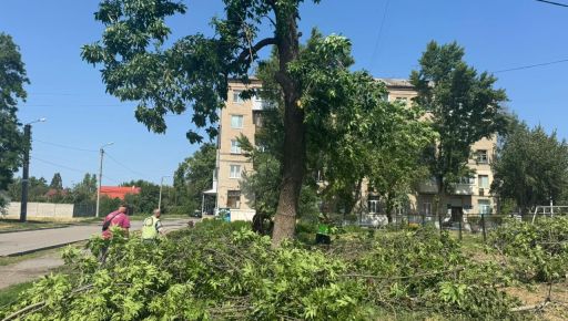 Мерія показала наслідки негоди, яка повалила дерева в Харкові 12 липня