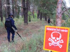 ГСЧС сообщила, какие снаряды чаще всего обнаруживает на Харьковщине во время разминирования