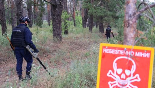 ГСЧС сообщила, какие снаряды чаще всего обнаруживает на Харьковщине во время разминирования