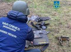 Синегубов сообщил, куда попали российские дроны в Харьковской области
