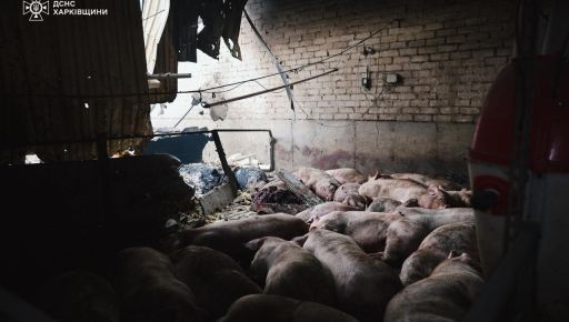 На Харківщині збитки агрофірми після ворожої атаки можуть сягнути 300 млн грн