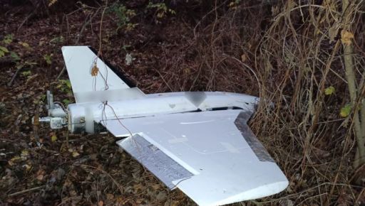 Прикордонники показали знищені над Харківщиною російські БпЛА