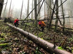 В Закарпатье спасли харьковчанина, который 4 дня бродил в горах