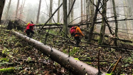 На Закарпатті врятували харків'янина, який 4 дні блукав в горах