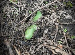 У Харківській області показали, як розміновують сільгоспугіддя