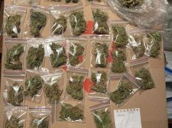 У Харкові під час обшуку знайшли елітної коноплі та інших наркотиків на 3 млн грн