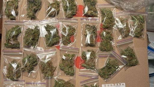 В Харькове во время обыска нашли элитную коноплю и другие наркотики на 3 млн грн