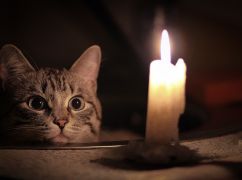 Обленерго повідомило, як вимикатимуть світло на Харківщині 9 січня