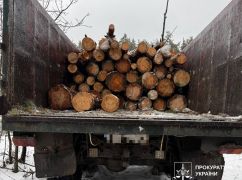 В Харьковской области разоблачили группу черных лесорубов