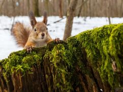 Погода в Харькове на 27 февраля: прогноз синоптиков