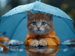 Готуйте парасольки: прогноз погоди у Харкові на 27 березня