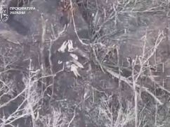 Расстрел пленных в Харьковской области: военные прокомментировали преступление захватчиков