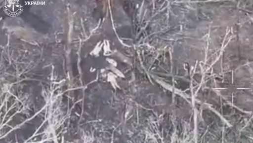 Расстрел пленных в Харьковской области: военные прокомментировали преступление захватчиков