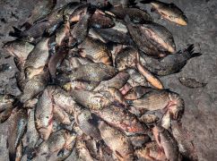 У Харківській області незаконно виловили риби на 300 тис. грн