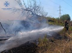В Купянском районе горели хвойные леса: Пожары произошли из-за обстрелов