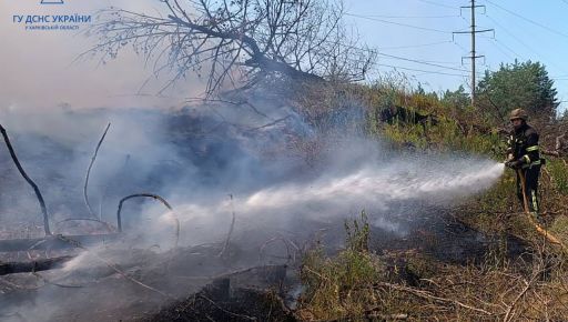 В Купянском районе горели хвойные леса: Пожары произошли из-за обстрелов