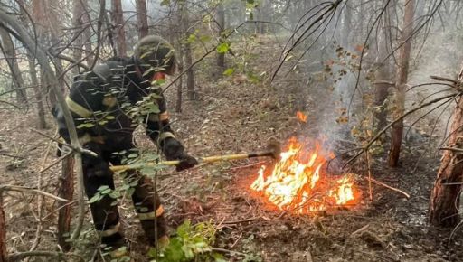 Россияне обстреляли лес на Харьковщине: Произошел пожар