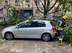 Наслідки негоди у Харкові: На Олексіївці повалені дерева впали на автівки