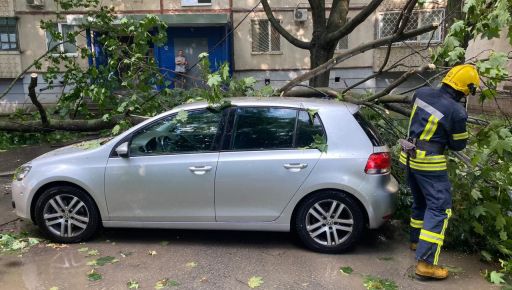 Наслідки негоди у Харкові: На Олексіївці повалені дерева впали на автівки