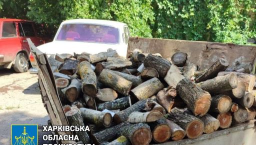 Нарубил деревьев на 120 тыс. грн: На Лозовщине объявили подозрение черному лесорубу