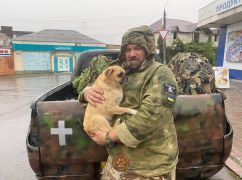 В Харьков эвакуировали почти полсотни животных из Купянска и Волчанска