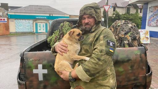 В Харьков эвакуировали почти полсотни животных из Купянска и Волчанска