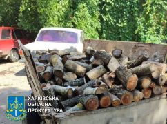 У Лозовій судитимуть чоловіка, який незаконно вирубав дерева на 120 тис. грн