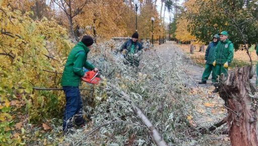 В Харькове устраняют последствия урагана в Центральном парке: Кадры с места