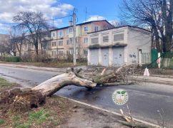 У Харкові буревій повалив дерева та пошкодив дахи (ФОТОФАКТ)