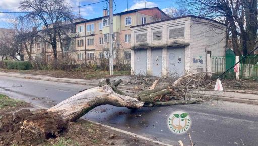 В Харькове ураган повалил деревья и повредил крыши (ФОТОФАКТ)