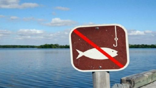 На Харьковщине рыбаку угрожает уголовная ответственность за вылов исчезающего вида карасей