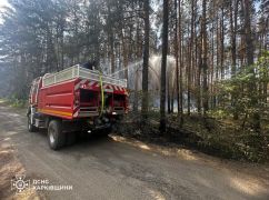 На Харківщині палає понад 280 га лісів