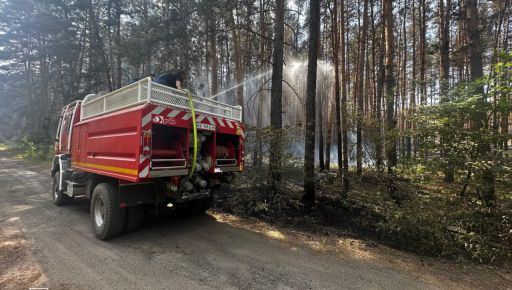 В Харьковской области горит более 280 га лесов