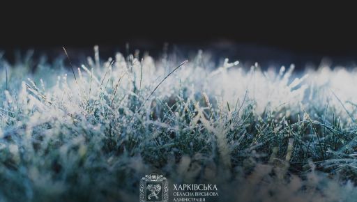 Стало відомо, коли на Харківщині будуть заморозки