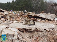 Удари по Липцях і Козачій Лопані: В прокуратурі показали масштаби руйнувань