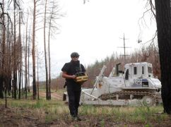 Харківські сапери показали, як розчищають лісові дороги від мін