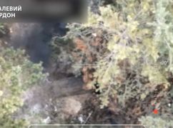 На Харьковщине пограничники с дрона разнесли блиндажи окупантов: Кадры с воздуха