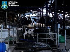 Прокуратура показала розтрощену росіянами ферму на Харківщині