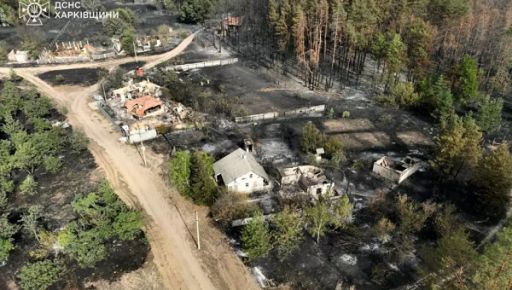 ГСЧС с высоты показала село, которое уничтожил лесной пожар на Харьковщине