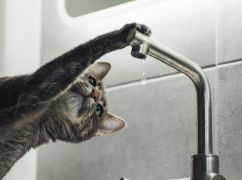 Стало известно, где в Харькове отключат воду 11 июня