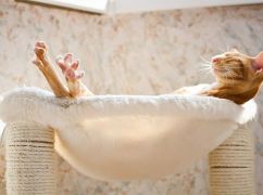 Синоптики розповіли, яким буде 14 березня в Харкові