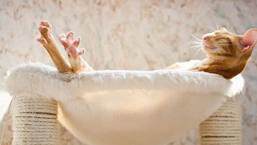 Синоптики розповіли, яким буде 14 березня в Харкові