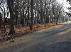 Пасмурно и холодно: Синоптики дали прогноз погоды на понедельник
