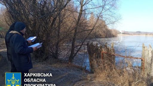 Озеро Очерет на селищі Жуковського в Харкові забрали через суд у власника