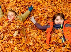 Осенние каникулы в школах Харьковской области: Стали известны даты