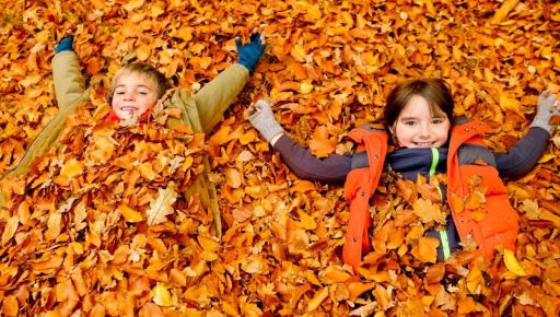 Осенние каникулы в школах Харьковской области: Стали известны даты