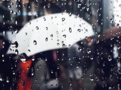 В Харьковской области ожидаются дожди: Прогноз на 29 марта