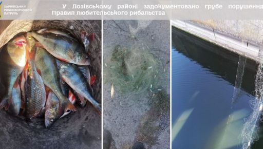 На Харківщині браконьєри наловили риби на понад 61 тис. грн